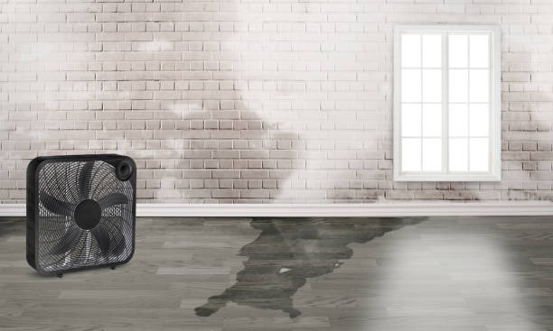 Best Sewage Cleanup and Restoration in USA